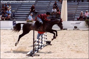 saut akhal teke