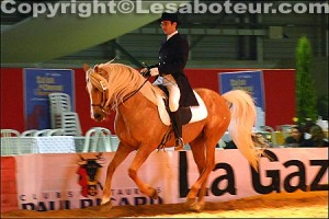 cheval de dressage