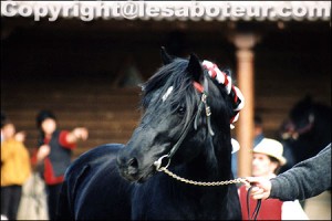 Merens avec entête