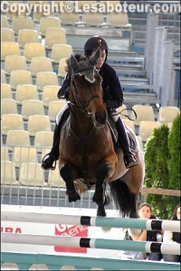 Equitation CSO