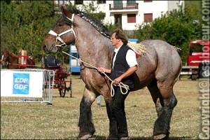 trait auxois