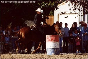 Barrel racing