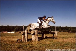 saut à cheval et steeple-chase