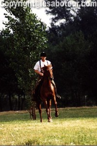 Concours de trec