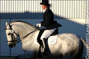 cavalier de dressage