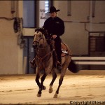 Equitation western