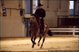 Equitation western