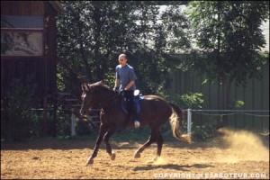 cheval au galop