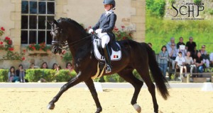 CDI*** de dressage