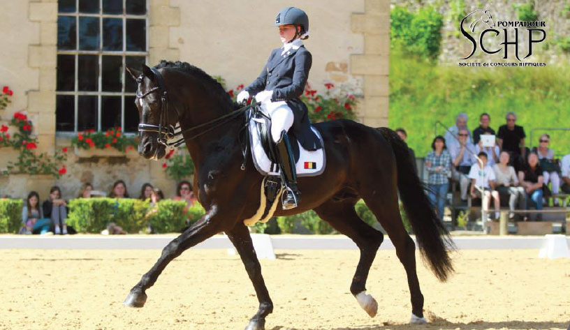 CDI*** de dressage