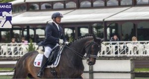 Jardy dressage