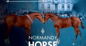 Affiche du Normandie Horse Day