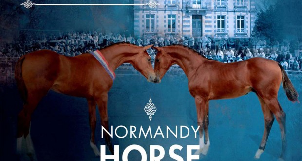 Affiche du Normandie Horse Day