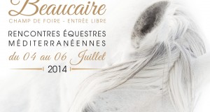 Fête du cheval à Beaucaire