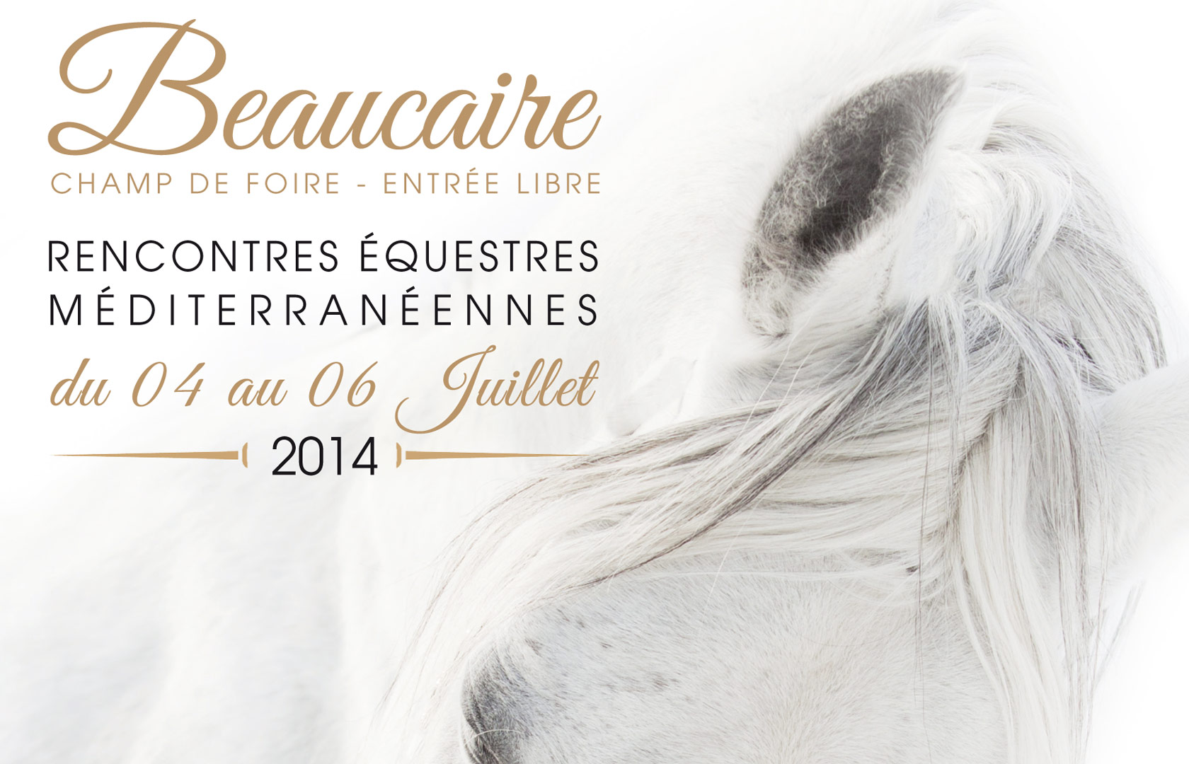 Fête du cheval à Beaucaire