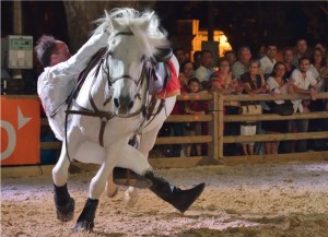 cheval-beaucaire-spectacle