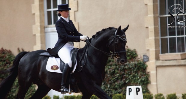 Haras de Pompadour : CDI 3 étoiles