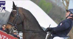 résultat dressage breviaires