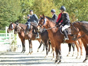 cso-15-aout-pompadour-concours-equestre-04