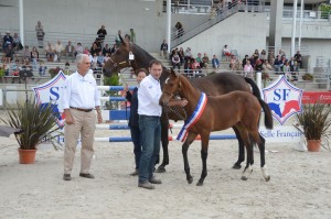 nhs-2013-championnat-france-foals-sf-02