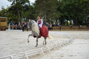 Championnat Regional Dressage Amateur et MAsters du cheval iberique