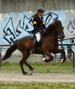 Ayla Marquenie equitation islandaise