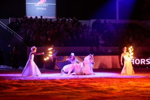 Nuit du cheval de 2014 Paris