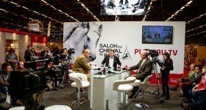 Programme des chevaux du sud