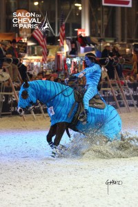 equitation western FREESTYLE OPEN