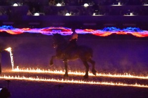 nuit du cheval paris 2014