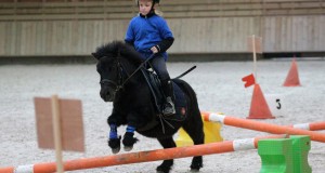 Equifun au Pôle International du Cheval à Deauville