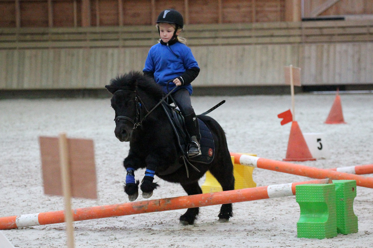Equifun au Pôle International du Cheval à Deauville