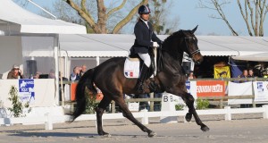 José Letartre au CPEDI *** de Deauville