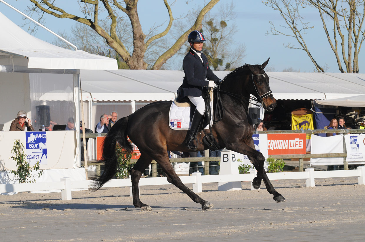 José Letartre au CPEDI *** de Deauville