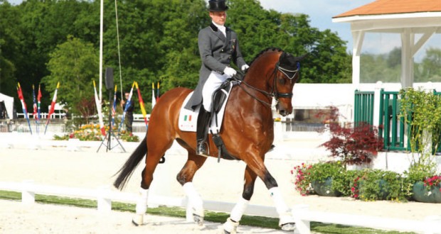 Concours de dressage