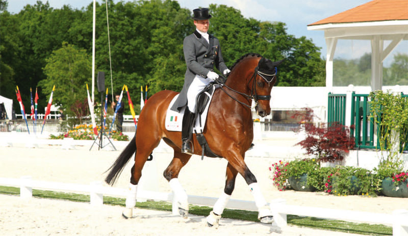 Concours de dressage International : Compiègne