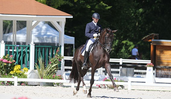 Internationaux de dressage 2015