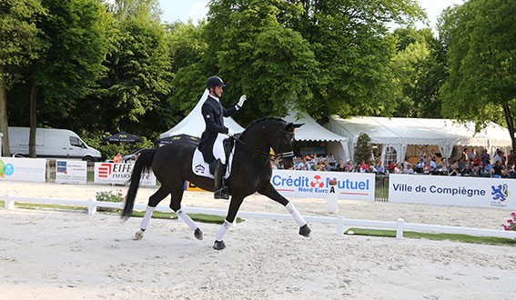 Marc Boblet et Noble Dream Compiegne internationaux de dressage