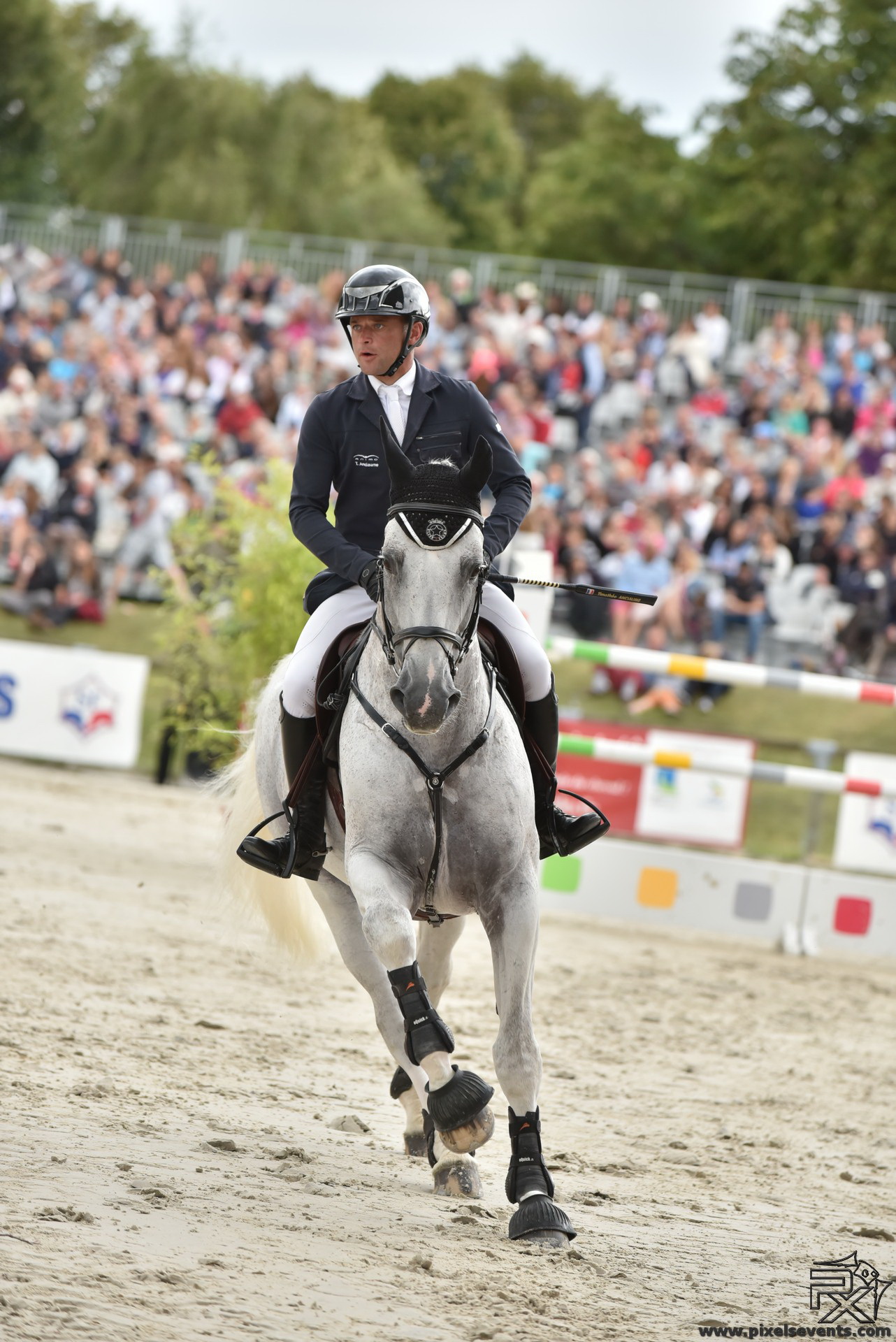 Fin de la 29éme édition du Normandie Horse Show