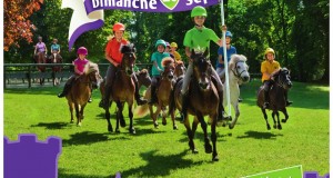 journee nationale du cheval 2015