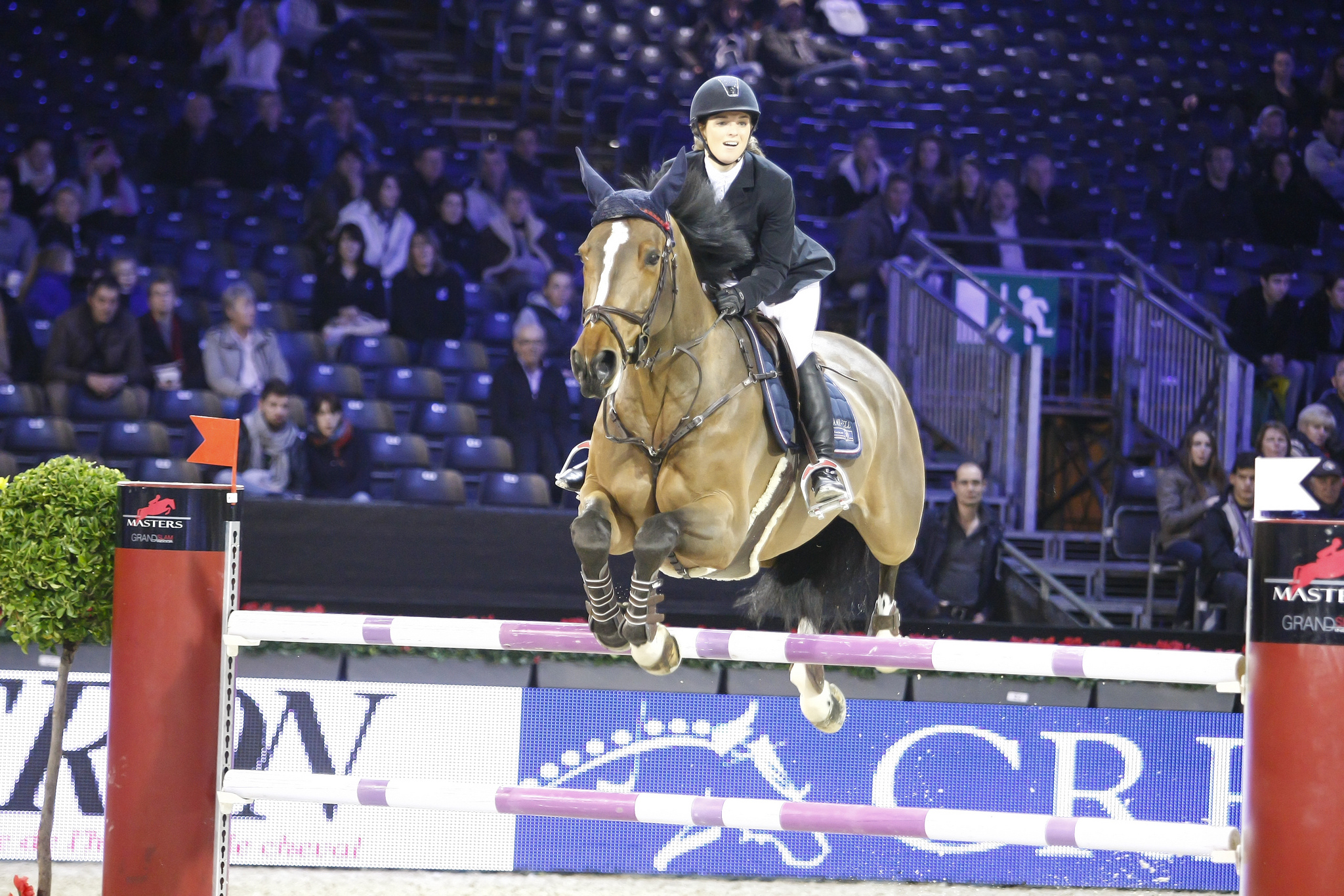 Salon du cheval de Paris : Les compétitions nationales