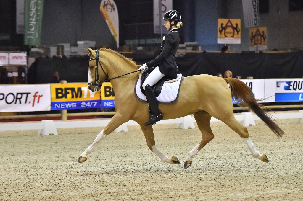 Salon du cheval de Paris Les compétitions nationales Le Saboteur