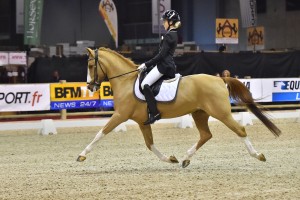 Tournée des as salon du cheval de paris