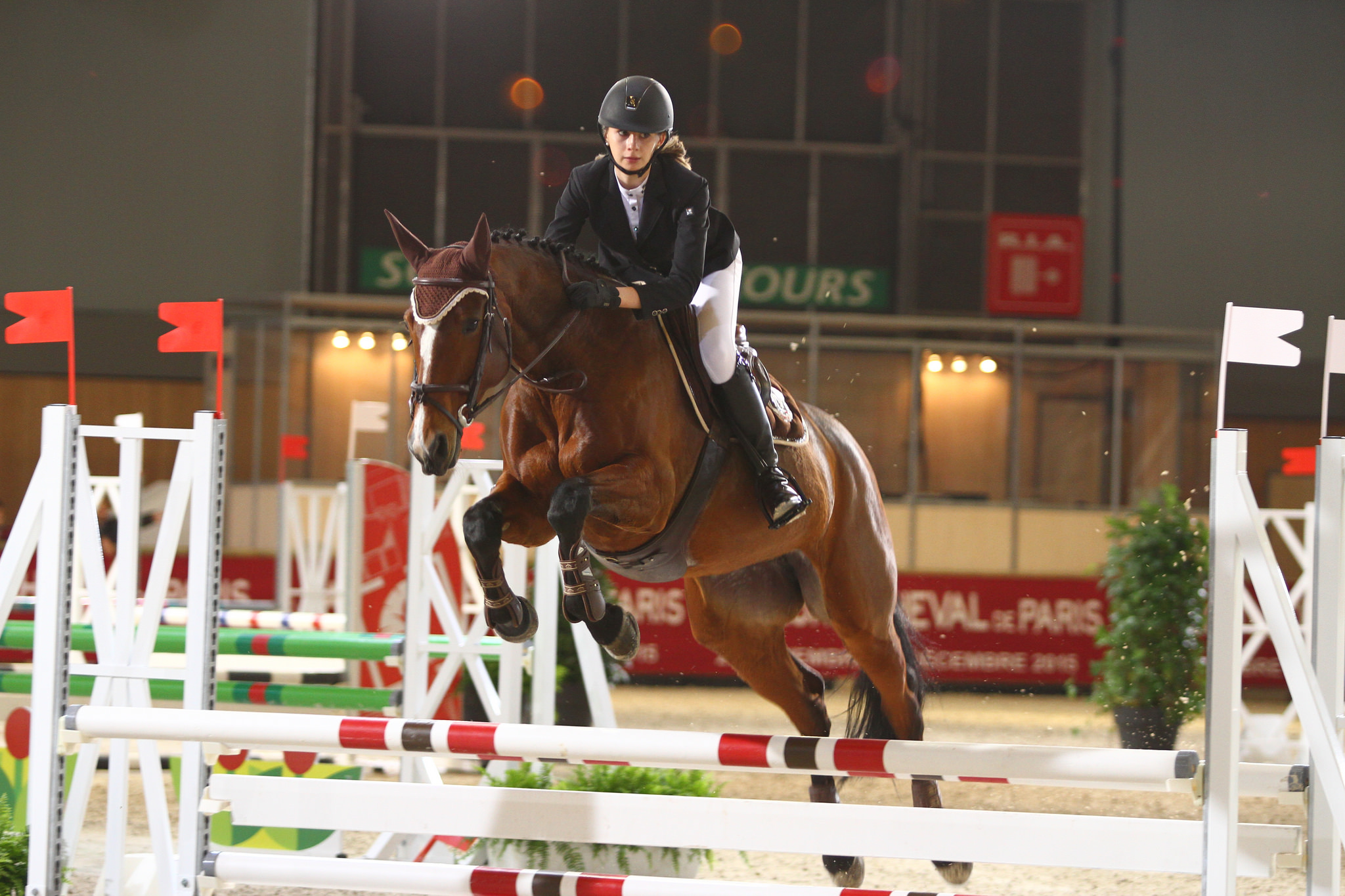 Salon du Cheval de Paris : TOP OF CREIF