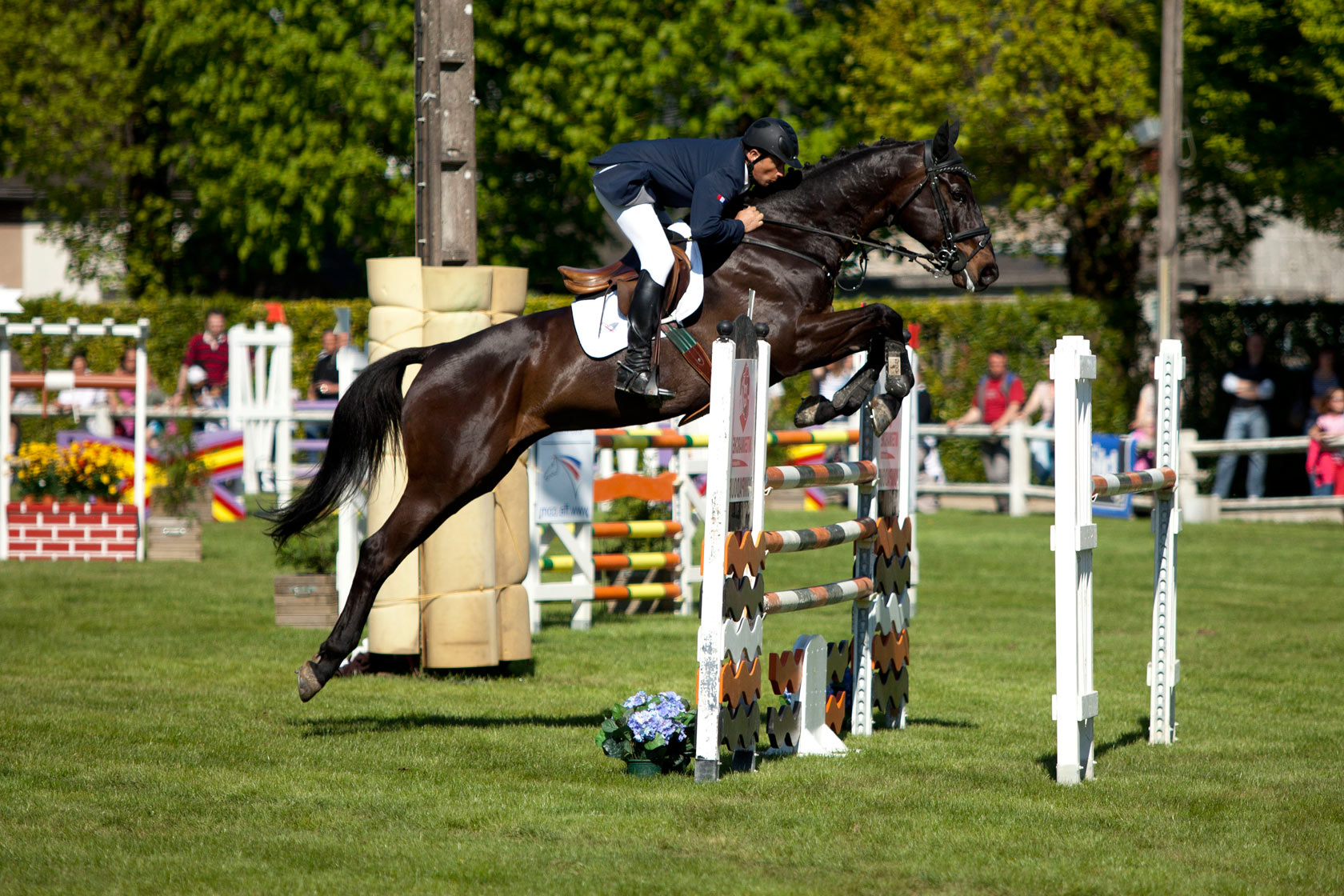 Master Pro CCE (©)Société de Concours Hippiques de Pompadour