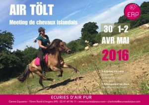 tolt chevaux islandais