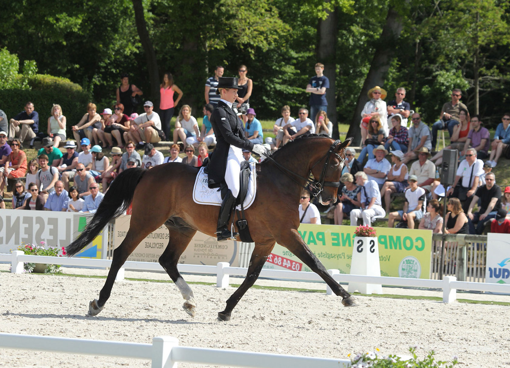 FEI Nations Cup de Compiègne