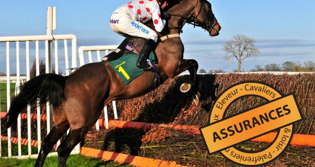 assurance cheval pour eleveur, et particulier