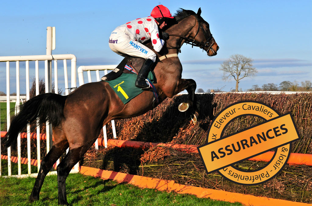 assurance cheval pour eleveur, et particulier