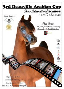 Arabian cup 2016 Deauville